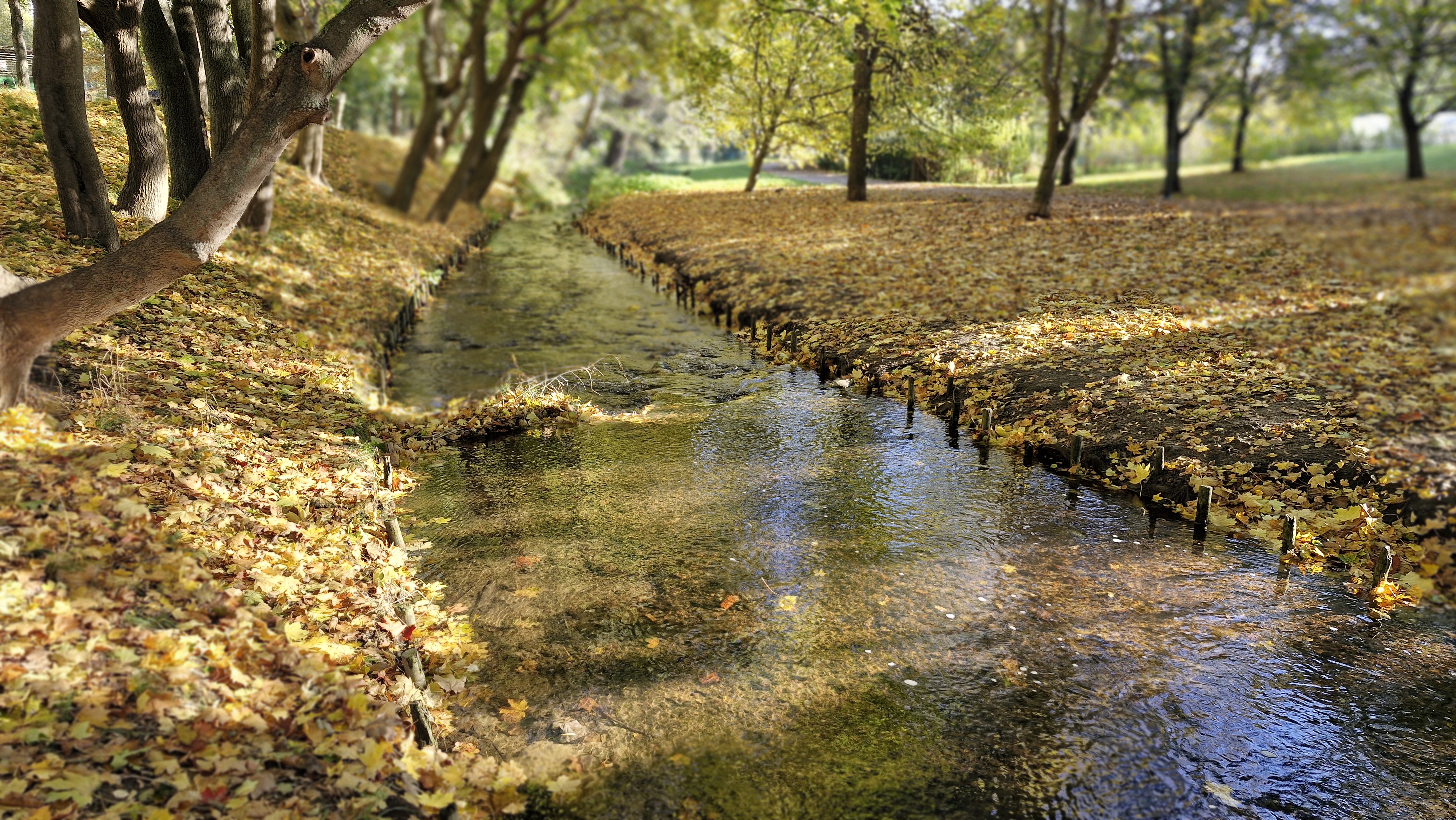 Przymorze Małę 21 10 25 44