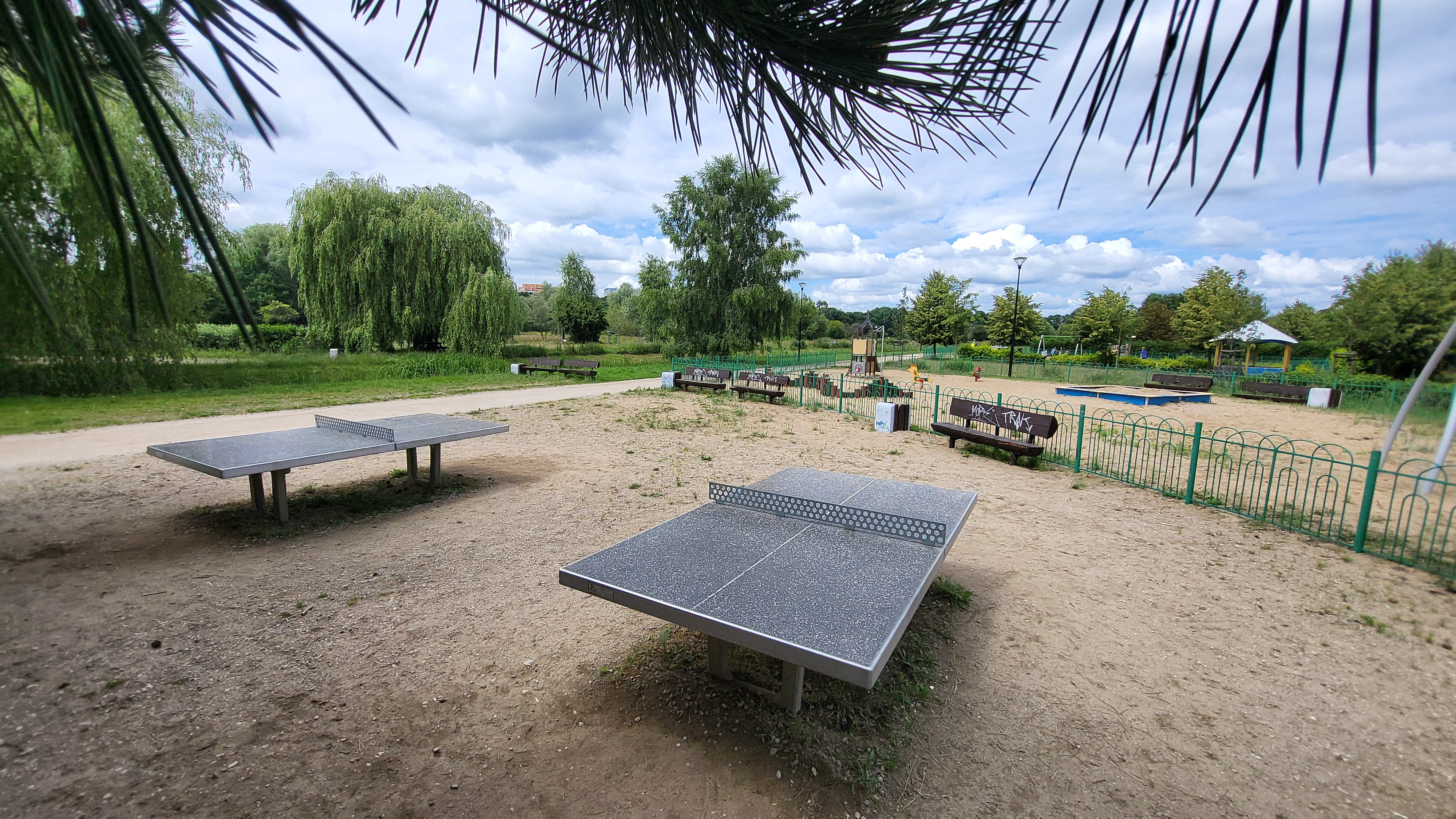 Park Regana stoły do Ping Ponga 25 06 24 8