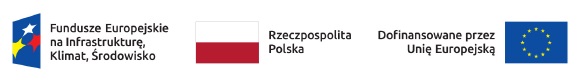 logotyp feniks kolorowy