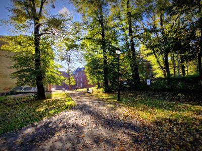 Park na Biskupiej Górce przy ul. Salwator został oświetlony